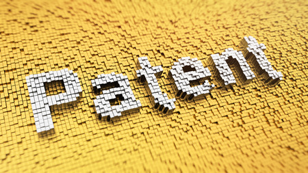 Provisional Patent Application Basics Provisional Patent Application Basics